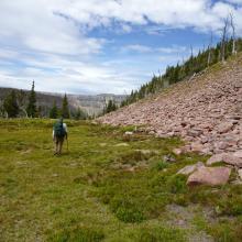 Continuing descent from summit - almost to trail