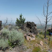 Antenna and view