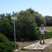 T1 Trail