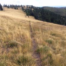 Open grassland ridges typical of both trail routes