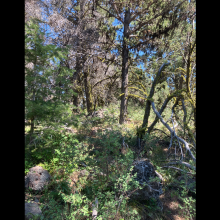 Gold Hill Summit