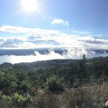 View from Summit 