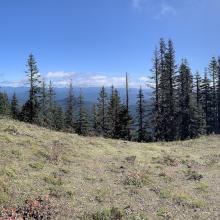 View from D-Layer